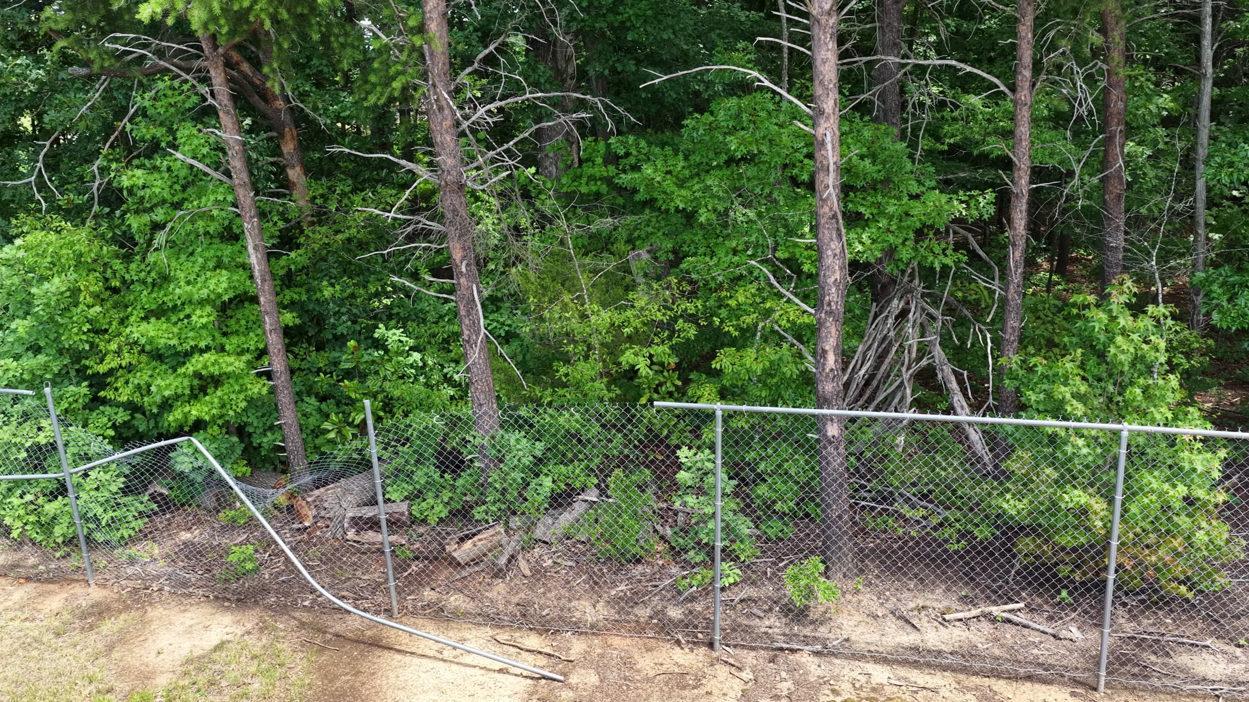 Damaged section of perimeter chain-link fence