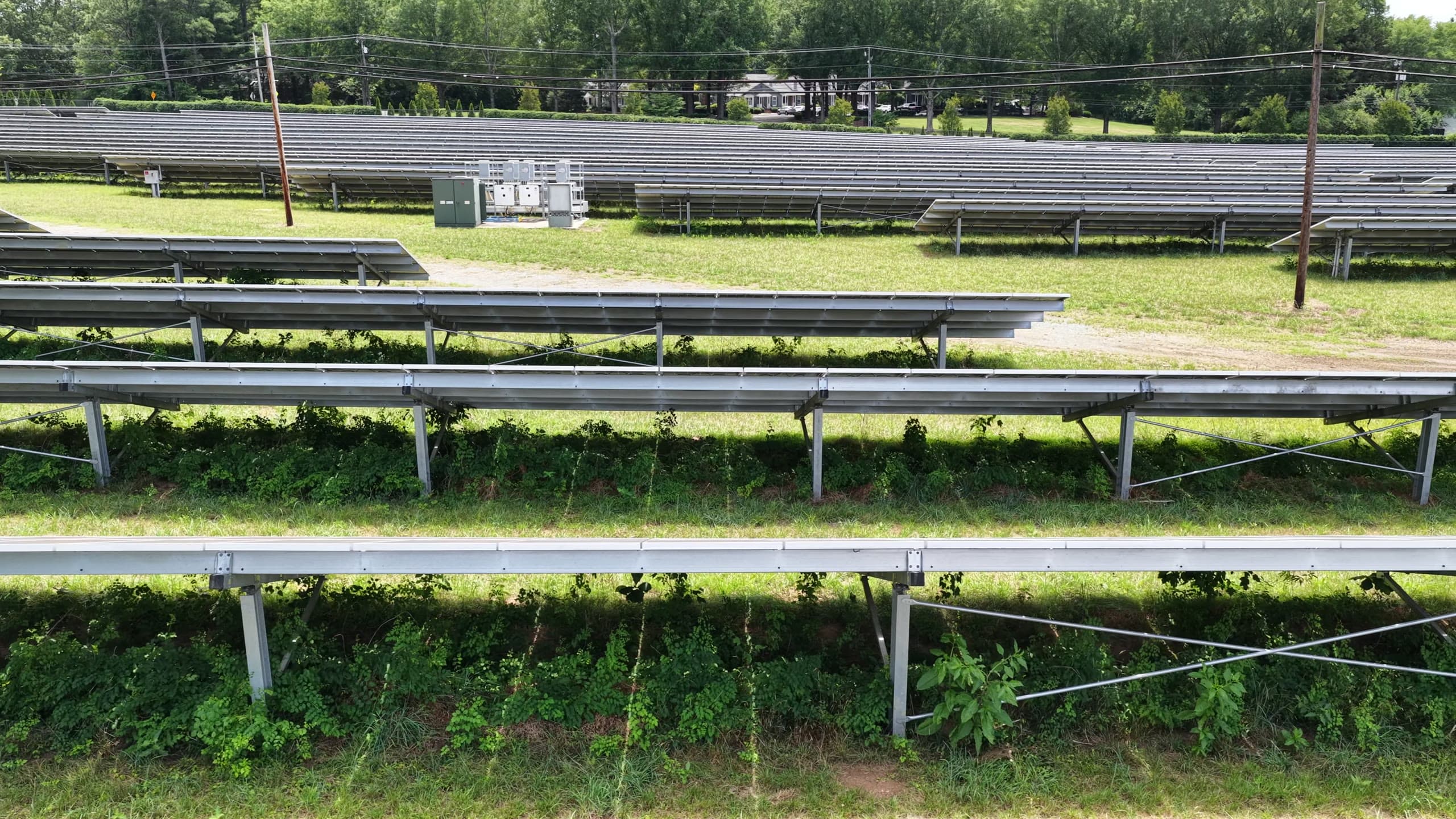 Vegetation overgrowth beneath solar rows, flagged as encroachment